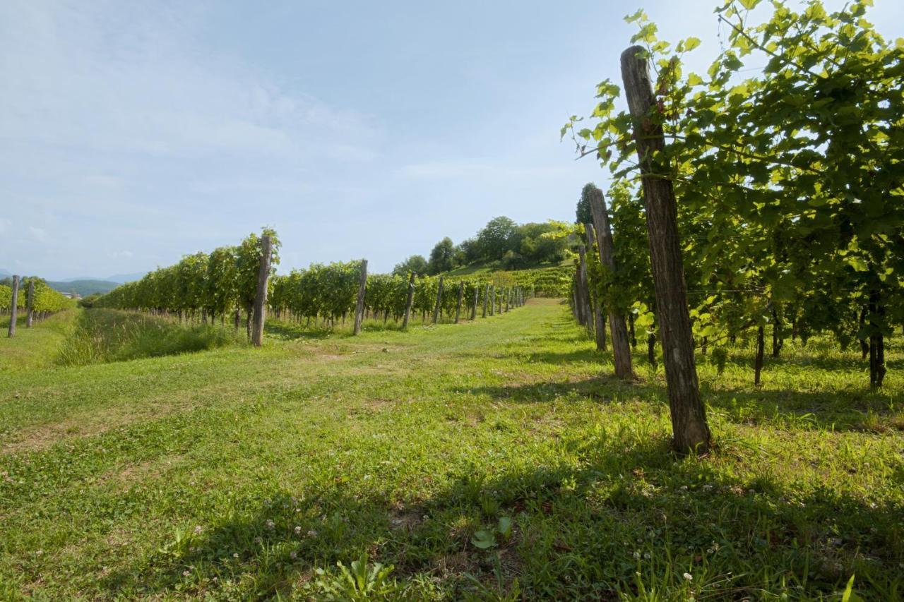 Alloggio Agrituristico Corte San Biagio Corno di Rosazzo Extérieur photo